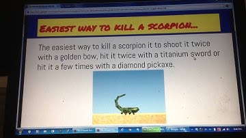 The Blockheads Guide/ Handbook By DIAX