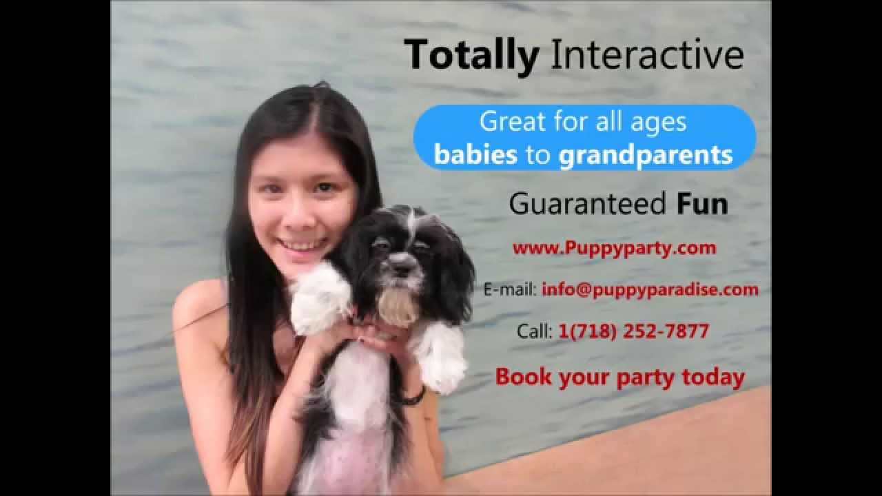 video editing software free bachelorette puppy party