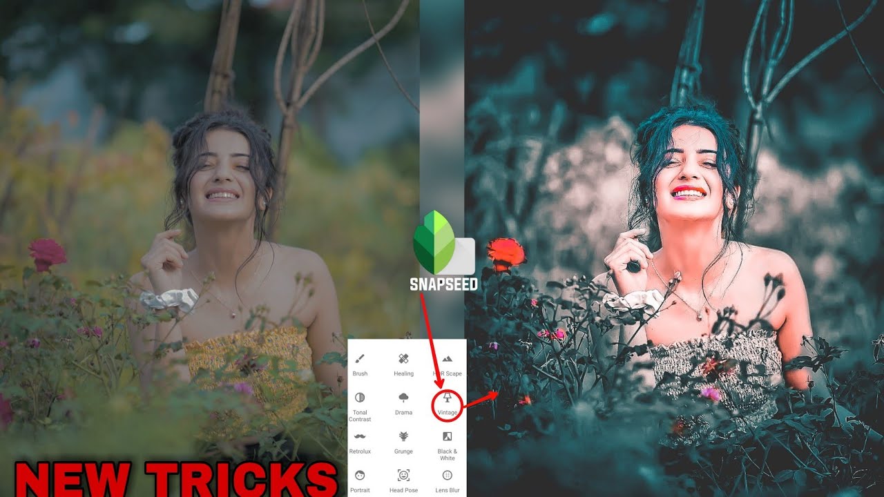 Snapseed Dark Blue Photo Editing New Tricks|Snapseed Photo Editing|Piku Editography