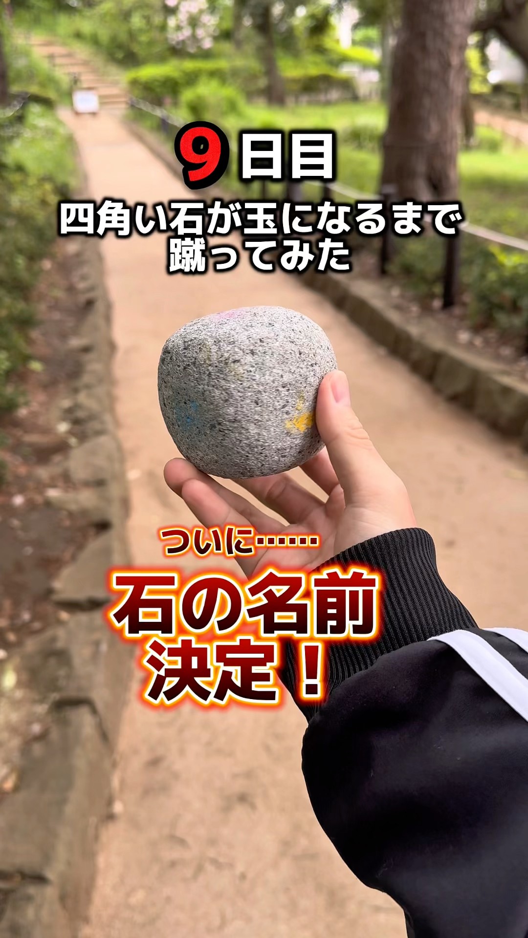 石をこの動画のいいね！の数だけ蹴ってみた。石の名前決定‼️9日目