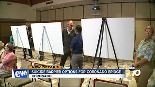 Suicide barrier options for Coronado Bridge
