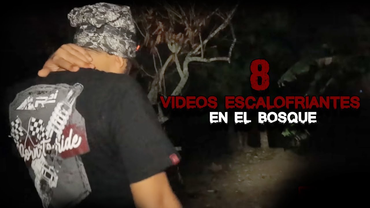 8 Videos Escalofriantes en el BOSQUE