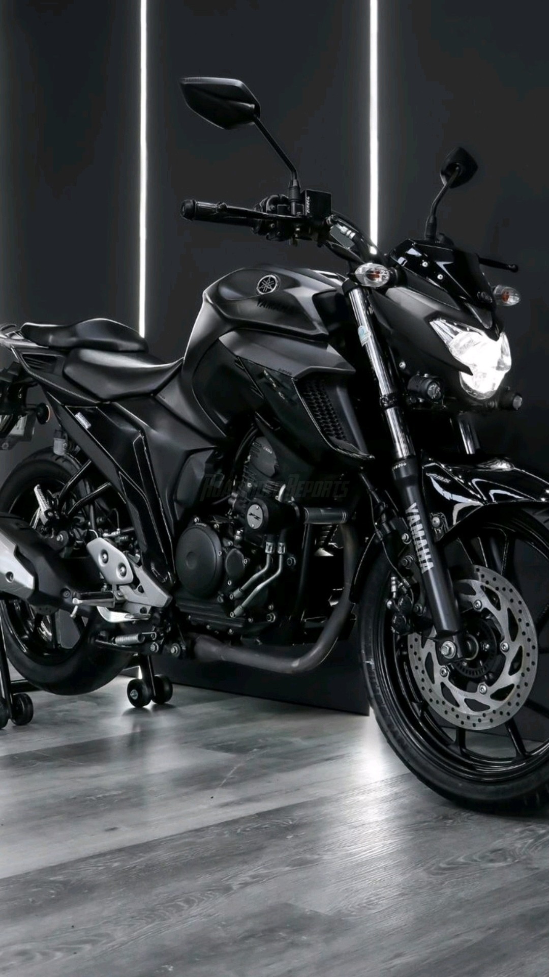 Yamaha FZ 250 The Ultimate Streetfighter Bike Review | Features