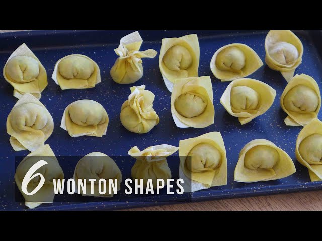 How To Fold Wontons (6 easy and fun ways)