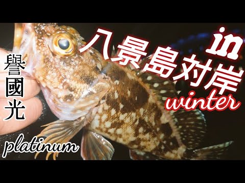 冬の夜釣りin八景島ぶっこみ釣り 秘密の餌で根魚調査 カサゴ ソイ メバル しゃぶ 山廃純米大吟醸 Platinum 譽國光 土田酒造 Youtube 冬の夜釣りin八景島ぶっこみ釣り 秘密の餌で根魚調査 カサゴ ソイ メバル しゃぶ 山廃純米大吟醸 Platinum 譽國光 土田酒造 Youtube