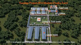 Ideal Modern Poultry Farm Setup & Guiding | H Type Layer Battery Cages | Egg Production Equipment