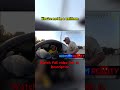 She AFRAID from FAKE POLICE #police #fakepolice