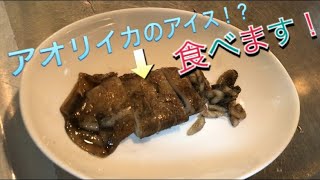 アオリイカのルイベ 凍ったまま食べます