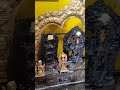 🕉Sri Vigneshwara | Bala Subramanya | Naga Devata | Abhishekam Puja #shiva #subscribe #new #yt #video
