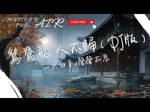 一只白羊/聲聲不息 - 鴛鴦飛 人不歸（DJ版）『臥寒塌眠星輝 舊夢卻透紗帷』【動態歌詞】
