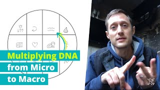 DNA Worth Multiplying From Micro to Macro