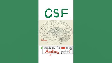 Cerebrospinal Fluid (CSF) -Brain Anatomy -Neuroanatomy..#anatomy #nurse #doctor #physiology #medical