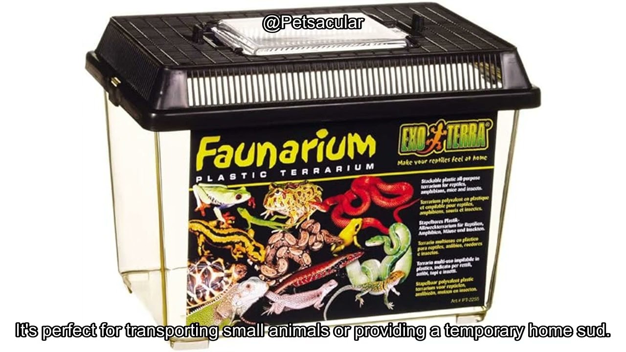 Exo Terra Faunarium Review: Is This Small Plastic Reptile Terrarium Worth the Investment?
