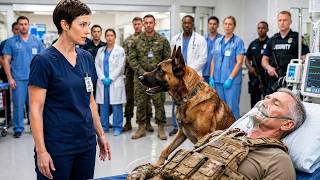 Silent Nurse Pushed Out for Doing Her Job—Her Military K9 Triggered a Federal Arrest