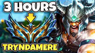 THIS is how you CLIMB in SEASON 14 with TRYNDAMERE.. in ONLY 3 Hours