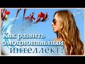 Эмоциональный интеллект, способы развития эмоционального интеллекта.