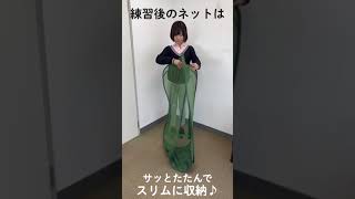 ダイヤアプローチ445(生産完了商品) アプローチ練習器具 | ダイヤゴルフ