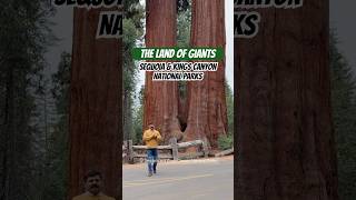 Land of Giants: Sequoia &amp; Kings Canyon National Parks | Giant Trees, Scenic Views &amp; Waterfalls