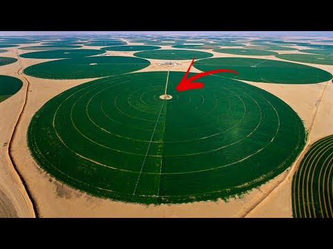 Video: Quale terreno si trova nel deserto?