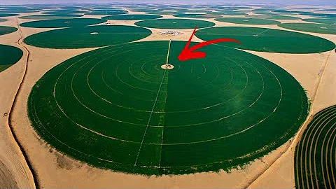 Quali Stati fanno parte degli Emirati Arabi?