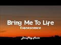 Evanescence - Bring Me To Life (lyrics)