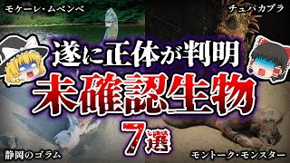 【ゆっくり解説】予想もしなかった正体が明るみに！長い間謎だった未確認生物（UMA）７選