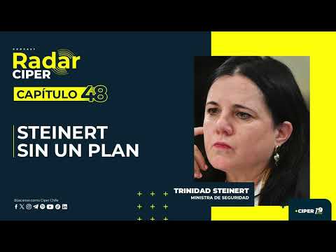 Steinert without a plan