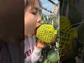 She is eating the cucumber with the wrapping paper | Amazing delicious fruit #farming #fruit