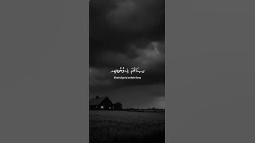 اكتب شيء تؤجر عليه 😴💚 قران كريم | ياسر الدوسري