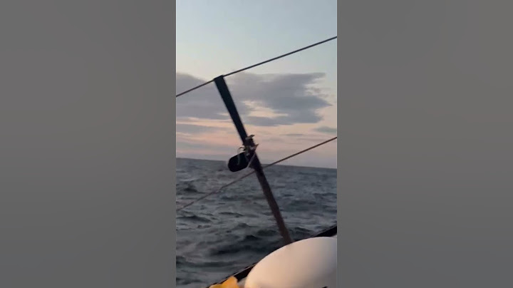 Un joli lever de soleil avec Violette Dorange | Vendée Globe 2024