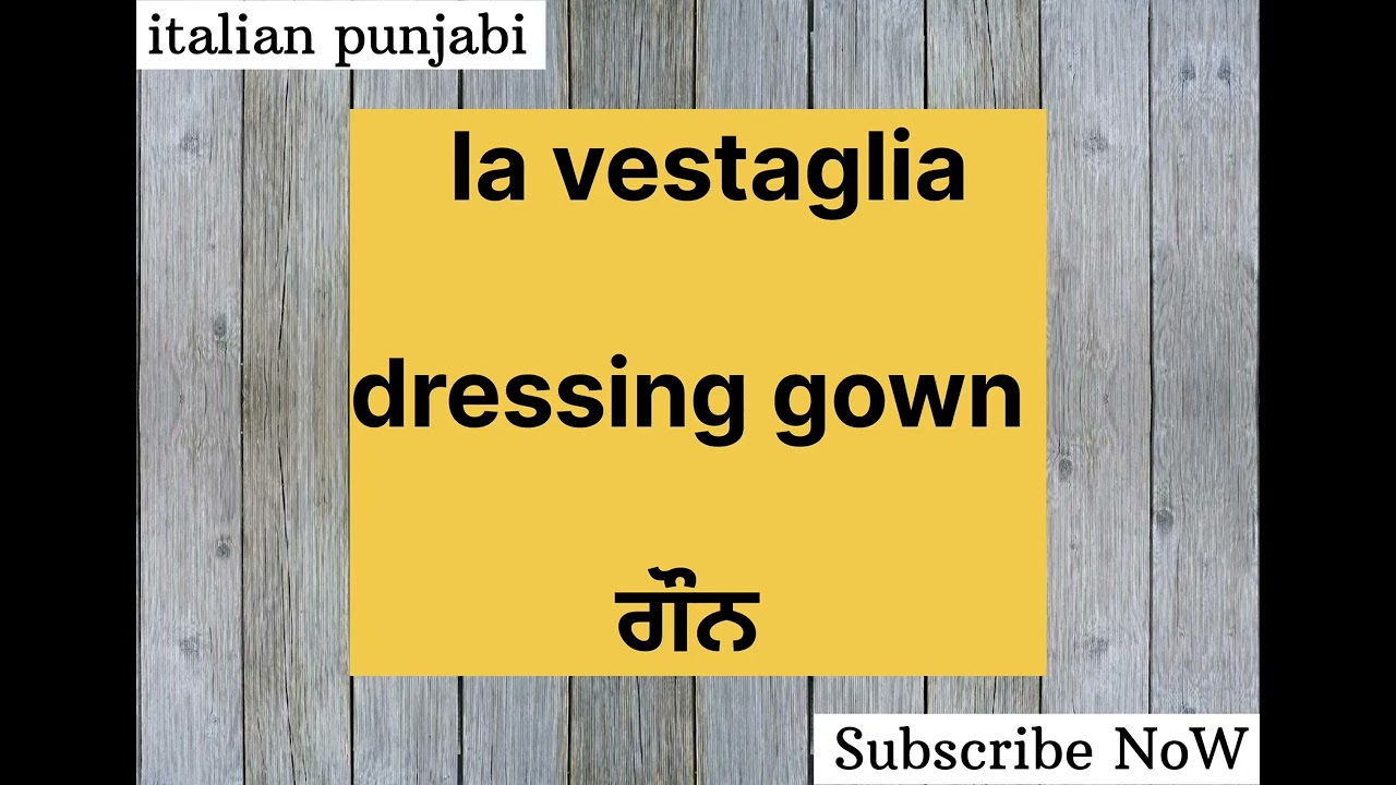 Learn Italian🇮🇹In Punjabi 2025||Daily uses word for beginners #italianlanguagelearning #study