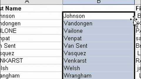 U5 - Excel: Reformatting Imported Text.wmv