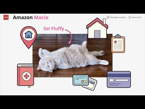 Video: Apa nama umum untuk satu elemen Amazon Simple Storage Service?