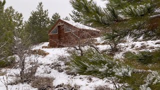 Start to Finish, Full Video, Dugout Shelter in 6 Days, Solo Survival Bushcraft Winter Camping