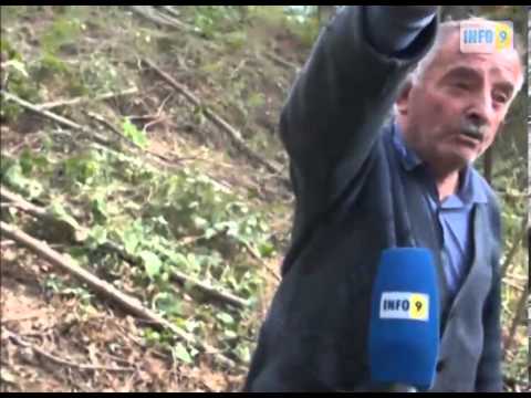 ქარსაცავი ზოლი იჩეხება