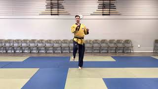 Roundhouse kick, reverse punch