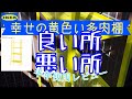 【多肉植物】黄色い多肉棚　IKEAのレールベリ　良い所、悪い所正直レビュー