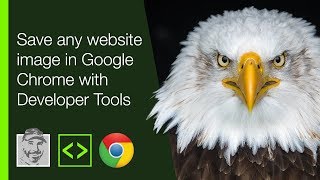 Celebrity Save any website image in Google Chrome with Developer Tools Profile