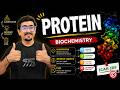 PROTEIN in One Shot | Classification + Important Concepts + PYQs | Biochemistry Masterclass 💪🧬