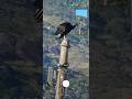 S25 Ultra é Bom? Testei a Câmera com Zoom em 100x - Galaxy S25 Ultra Samsung #s25ultra #s25 #shorts