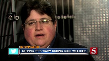 Keeping Pets Warm When The Temperature Drops