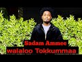 Walaloo Tokkummaa Oromoo Walallessaa Sadam Ammeetin January 10 2026 Shinnigaa 