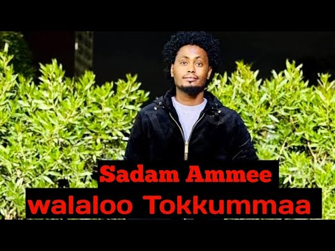 Walaloo Tokkummaa Oromoo Walallessaa Sadam Ammeetin January 10 2026 Shinnigaa 