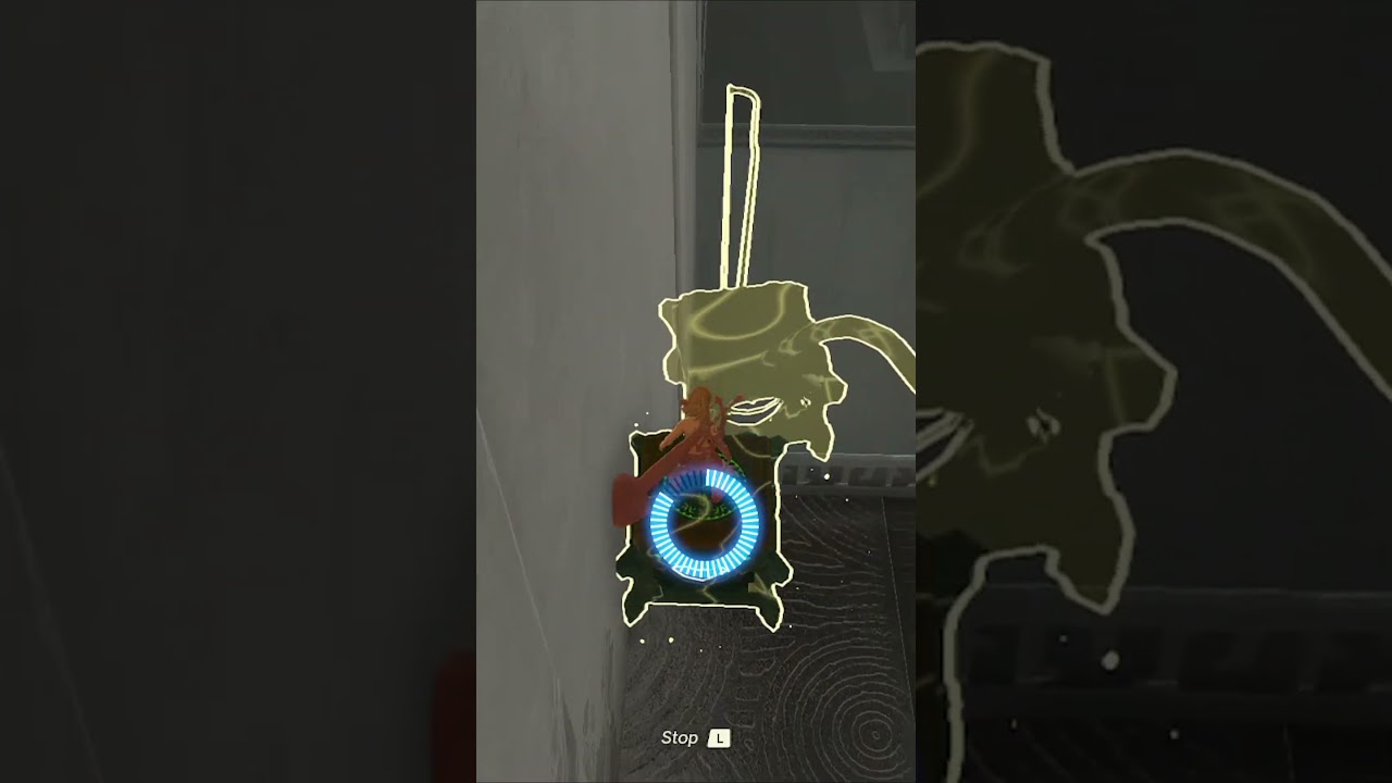 Was this intended in Tears of the Kingdom