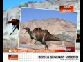 Fosil dinosaur pertama ditemui di Malaysia