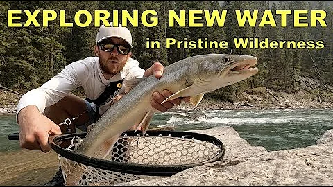Fly Fishing in Pristine Waters: Landing Huge Bull Trout in BC