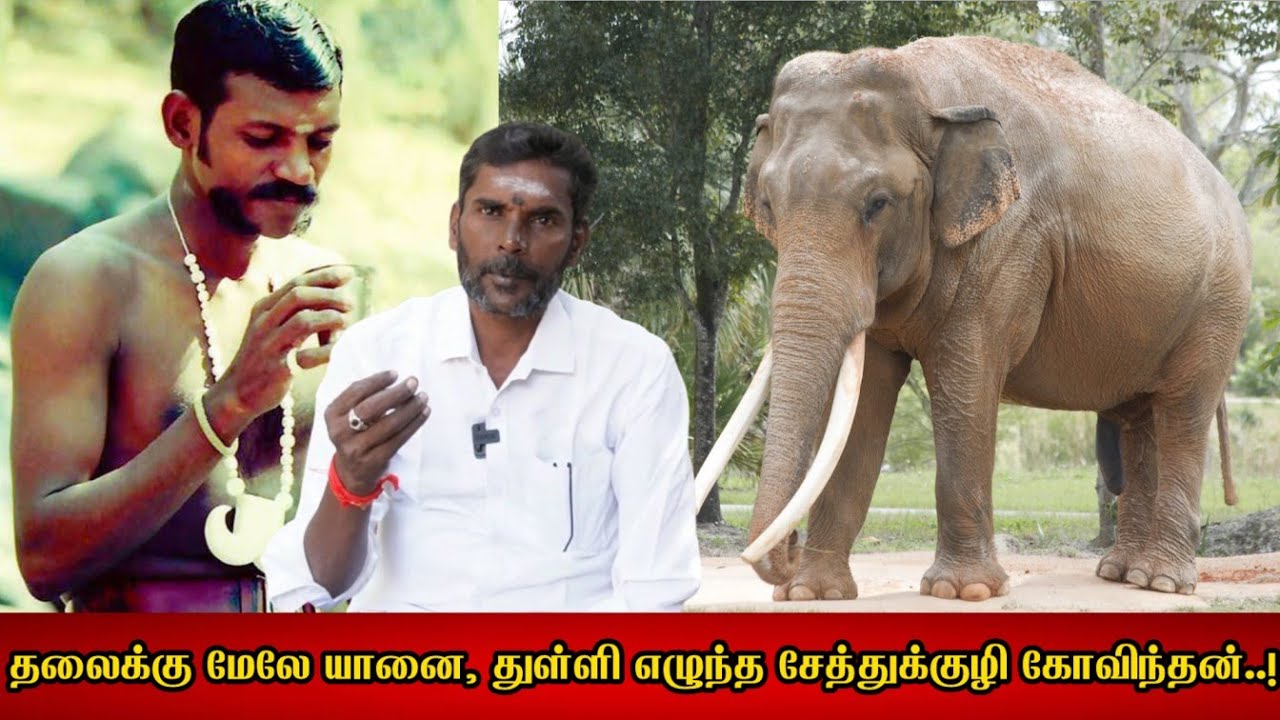 தலைக்கு மேலே யானை, துள்ளி எழுந்த சேத்துக்குழி கோவிந்தன்; ஜெயங்கொண்டம் செல்வம் நேர்காணல் 2