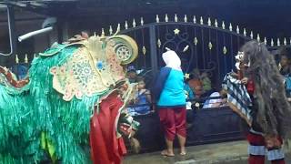 Tari Barong Rangde Jaranan Banyuwangi KREASI LAROS BUDAYA Songgon Live Sumber Asri