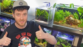 FISH ROOM CHANGES (LAYOUT & NEW AQUARIUMS TO COME) by Aaron Lewis 590 views 2 years ago 15 minutes