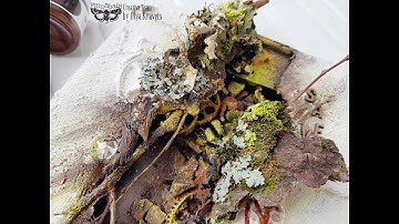 Step by step video tutorial. Canvas "Save me" for Finnabair